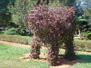 BangaloreBotanicalGarden8.jpg