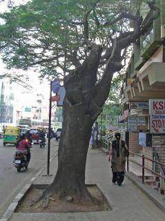 BangaloreNarrowedSidewalk.jpg