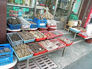BusanSouth1.jpg