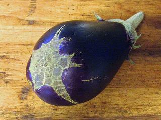 Eggplant090912b.jpg