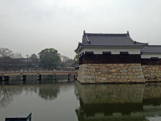 IMG_4237_edited-1.jpg