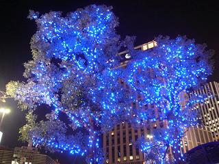 Illumination2008-Yokohama.jpg