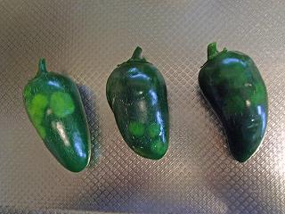 Jalapeno0910b.jpg