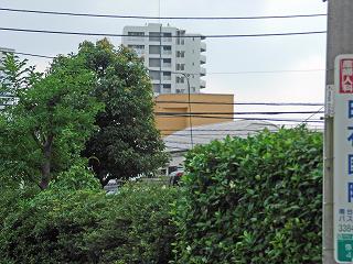 Kawashima-building-2.jpg