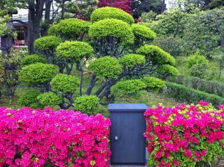 KiyosumiGarden37.jpg