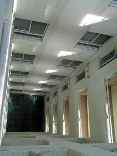 Maholova6.jpg