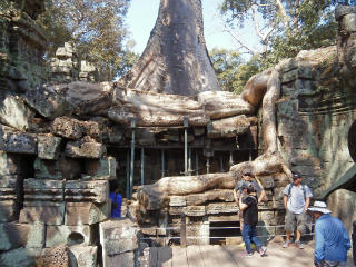 P1151242_edited-1.jpg