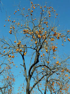 PB120115_edited-1.jpg