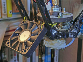 RIMG4064_edited-1.jpg